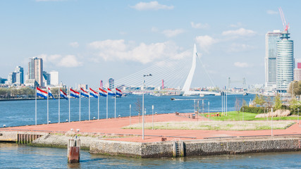 Naklejka premium The Erasmus bridge, cable-stayed bridge in the center of Rotterdam