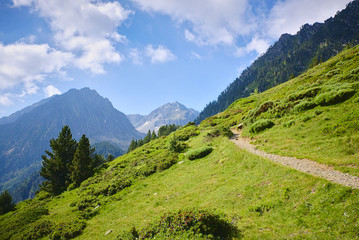 Fototapeta na wymiar Narrow path in the mountains of the Pyrenees