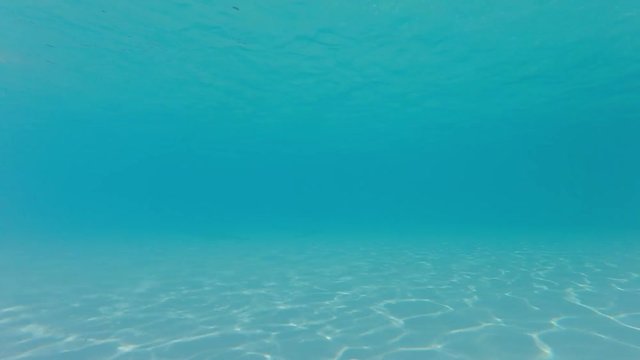 HD - Deep water. Underwater in the blue sea background.