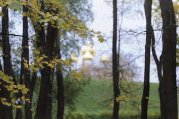 autumn