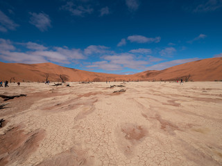 Fototapeta na wymiar Deadvlei salt pan of Sossusvlei, inside the Namib-Naukluft Park in Namibia 