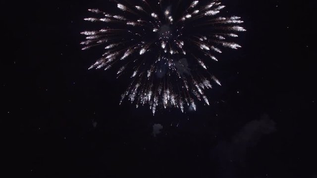 Beautiful fireworks in night sky