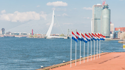 The Erasmus bridge, cable-stayed bridge in the center of Rotterdam