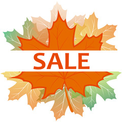 Fototapeta na wymiar Autumn sale banner with colorful maple leaves