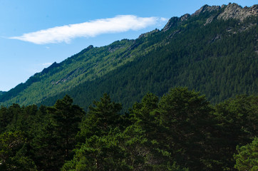 Fototapeta na wymiar Mountain landscape, mountains covered with pine forest.