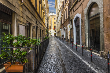 Fototapeta na wymiar Empty Italian street with stone-pavement, trees and blue sky
