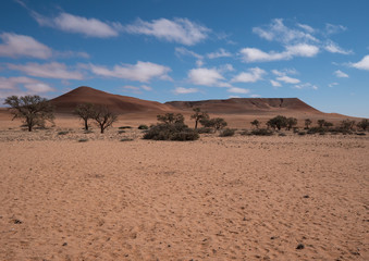 Fototapeta na wymiar Sossusvlei dunes inside the Namib-Naukluft Park in Namibia 