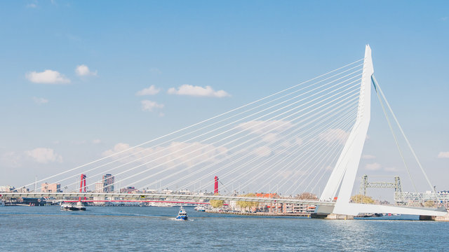 Fototapeta The Erasmus bridge, cable-stayed bridge in the center of Rotterdam
