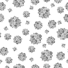 echeveria modern watercolor monochrome seamless pattern on white background