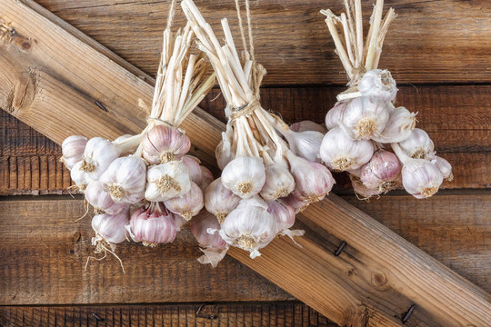 Bundles of fresh garlic dried on vintage wooden wall