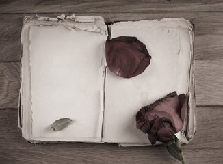 Open old book with blank pages for text and dry rose on wooden table