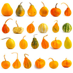 Set of pumpkins on isolated white background.