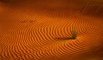 Exposure done in the Sharjah Desert region, Dubai, UAE