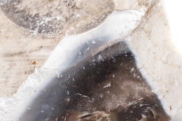 Macro mineral stone Flint in the rock on a white background