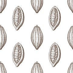 Seamless pattern with cocoa fruits