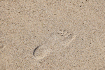 Fototapeta na wymiar Footprint on the sand with an empty place for text