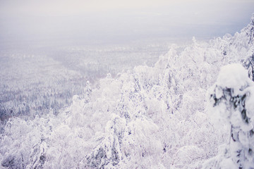 Top view from the ski slopes among the spruces on snow covered and foggy valley on the background mountain peaks. Skiing park Kubinska Hola  Western Tatras Travel destination for winter vacations . © malykalexa777