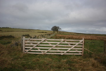 Fototapeta na wymiar wooden gate