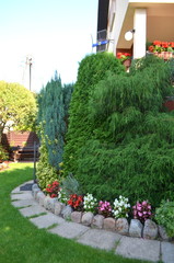 Ландшафтный дизайн красивые растения