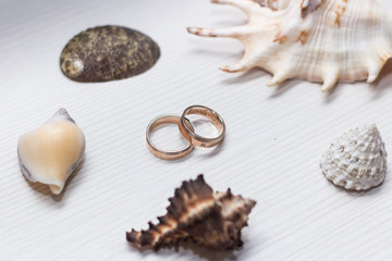 Two golden wedding rings on white wooden background with seashells nearby.