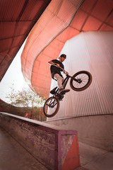 BMX rider makes a TAilwhip trick. Young man doing tricks in the air on a BMX bike. BMX freestyle