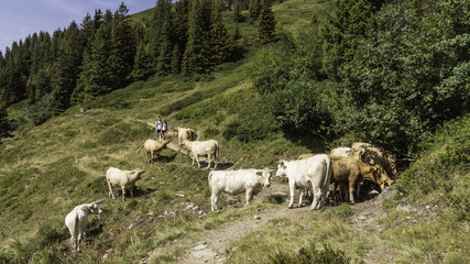 Obraz premium Valpelouse - Col et pic de la Frèche.