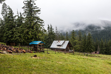 Shepherd wooden hut on meadow in autumn season