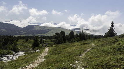 Massif de la Chartreuse - Isère.