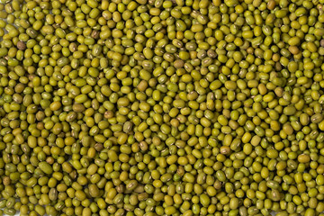 Green lentils full background, top view