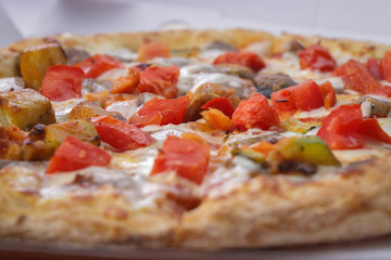 Hot and tasty pizza on white background