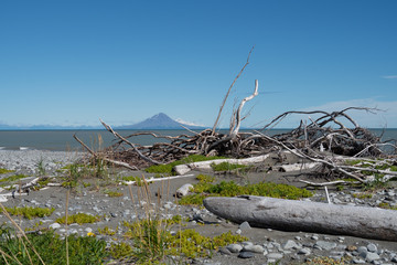 Augustine Island, an active volcano as seen from a beach covered in rocks and driftwood in Katmai National Park