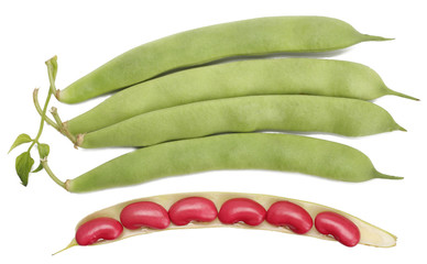 Beans isolated on white background, top view.