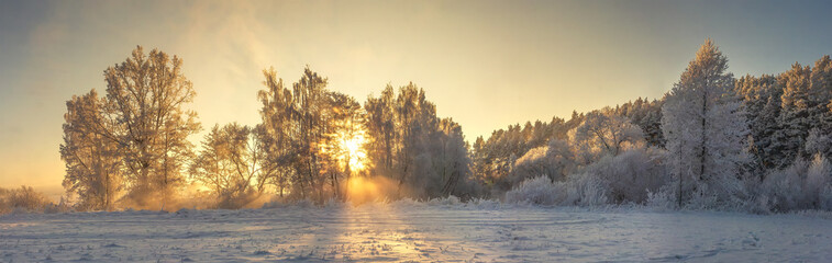 Panoramic winter landscape. Frosty nature in warm golden sunlight. Vivid sunbeams glows on trees...