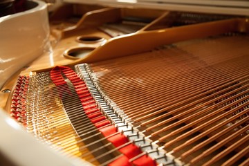 Inside of the Grand Piano - Close Up