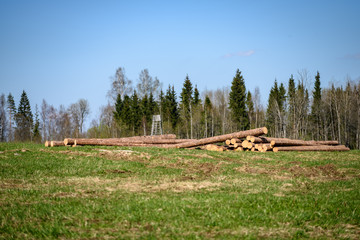 Fototapeta na wymiar large pile of fire wood in countryside