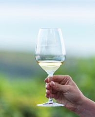 Glass of wine in hand