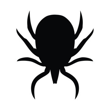 A black and white silhouette of a tick