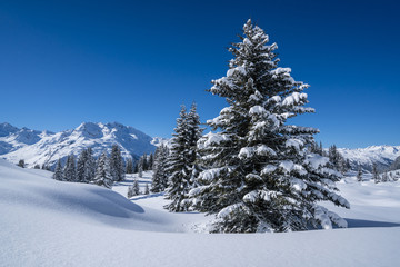 Winter in den Alpen