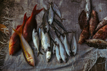 Pescados