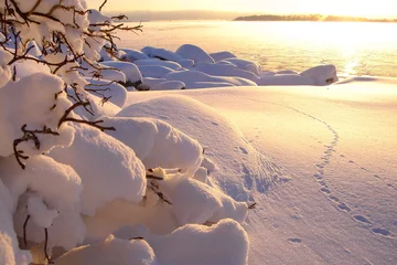 Schöne Winterseelandschaft bei Sonnenuntergang mit Nebel © Elina