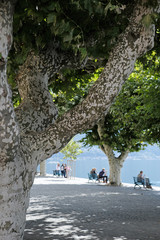 Ascona-Hafen