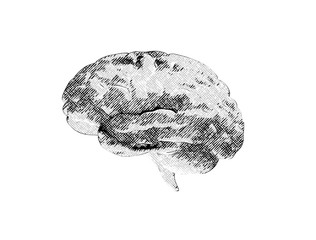 Engraving brain with black on white background