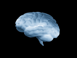 Human Brain 3D Blue Glow Isolated On Black