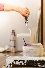 White paint with roller brush