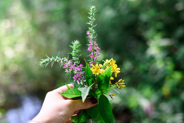 Fototapeta na wymiar Small bouquet of bright wild flowers in woman's hand on a blurred background
