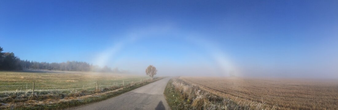 early morning with a fogbow by the sun in sweden