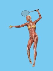 Anatomical front view featuring active muscle motion of woman playing tennis. 