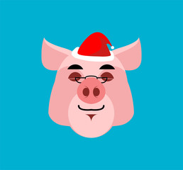 Obraz na płótnie Canvas Santa Pig sleep Emoji. Christmas Dream . Piggy with eyes closed. face avatar emotion