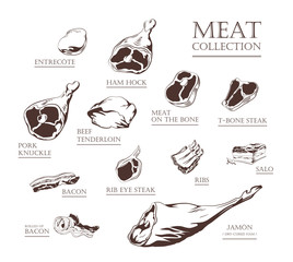 Kolekcja ręcznie rysowane składniki żywności w stylu vintage. Zarys retro ilustracje mięsa, szynki, wieprzowiny, wołowiny, jagnięciny, boczku, żeber, steków, polędwicy. Wektorowe ikony, godło i logo elementów. - 223055129