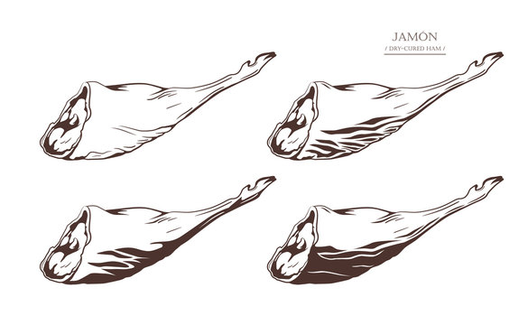 Gammon. Jamon. Dry-cured ham isolated on white background. Pig leg. Set of colored image with contour. Vector illustration. Icon, emblem, logo element.